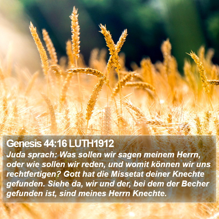 Genesis 44:16 LUTH1912 Bible Study