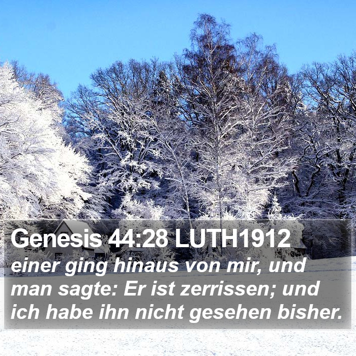 Genesis 44:28 LUTH1912 Bible Study