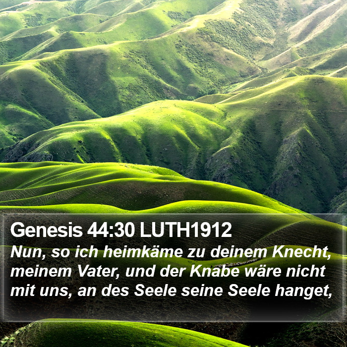 Genesis 44:30 LUTH1912 Bible Study