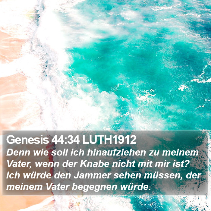 Genesis 44:34 LUTH1912 Bible Study