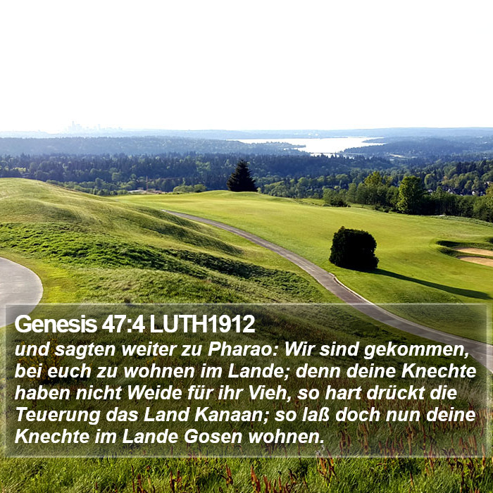 Genesis 47:4 LUTH1912 Bible Study