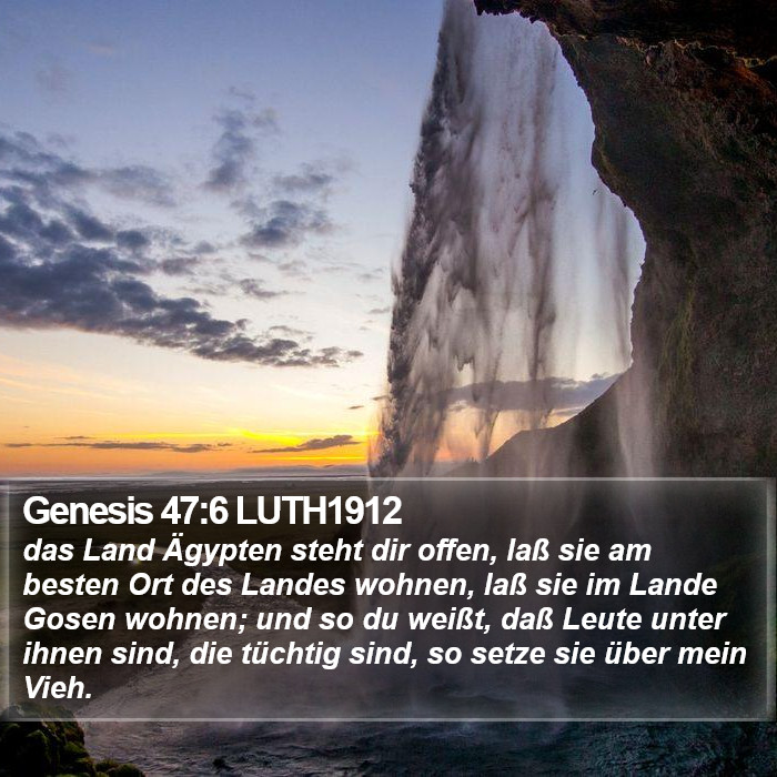 Genesis 47:6 LUTH1912 Bible Study