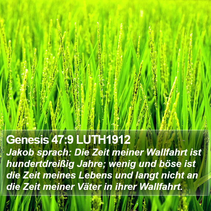 Genesis 47:9 LUTH1912 Bible Study