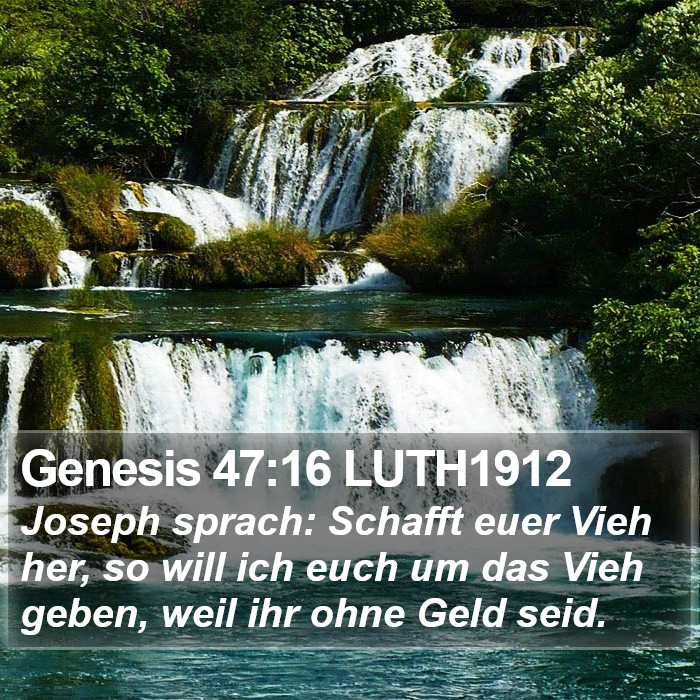 Genesis 47:16 LUTH1912 Bible Study