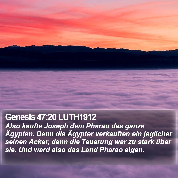 Genesis 47:20 LUTH1912 Bible Study