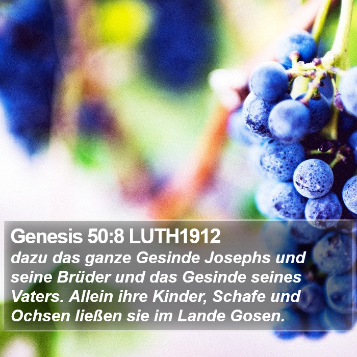 Genesis 50:8 LUTH1912 Bible Study