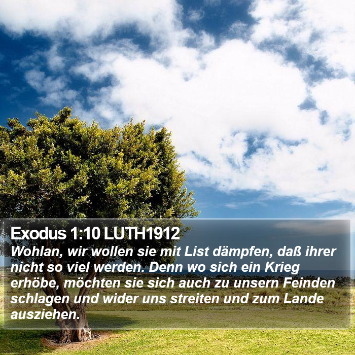 Exodus 1:10 LUTH1912 Bible Study