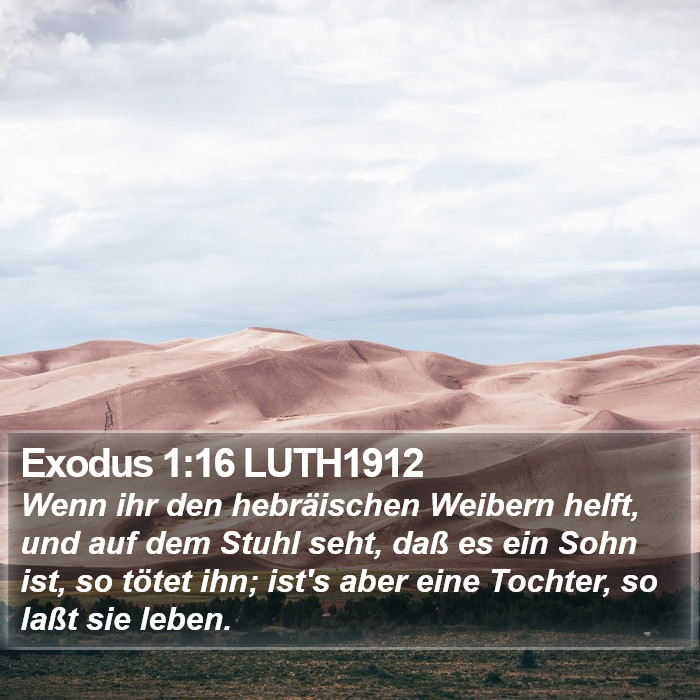 Exodus 1:16 LUTH1912 Bible Study