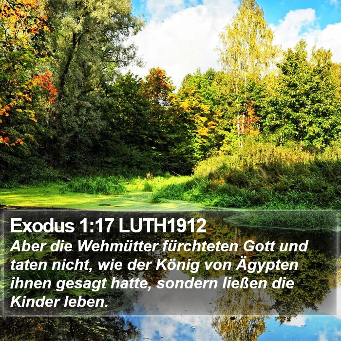 Exodus 1:17 LUTH1912 Bible Study