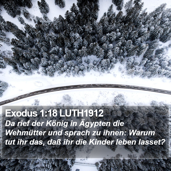 Exodus 1:18 LUTH1912 Bible Study