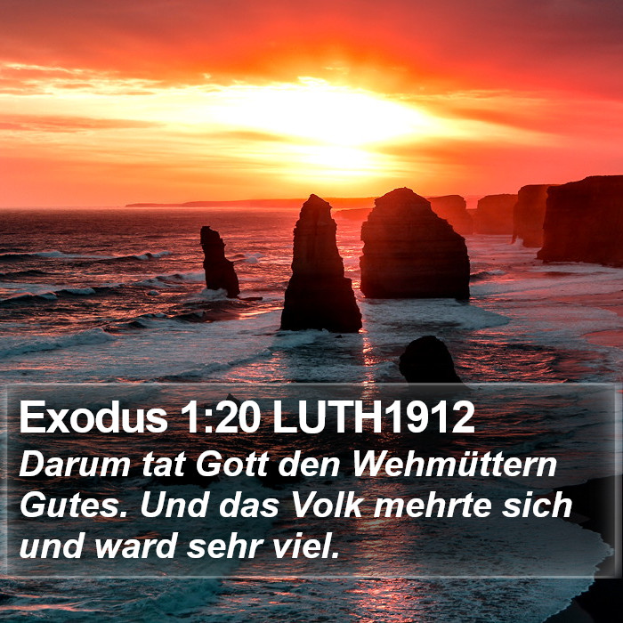 Exodus 1:20 LUTH1912 Bible Study