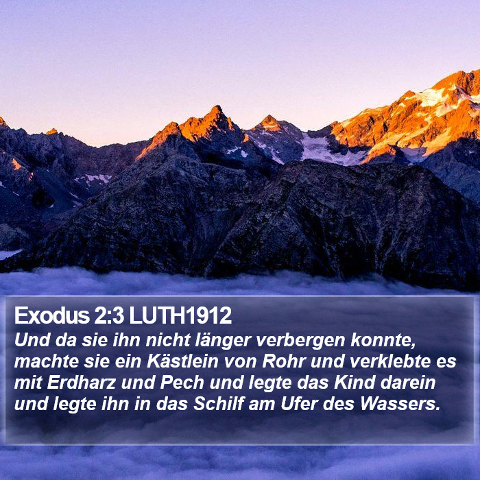 Exodus 2:3 LUTH1912 Bible Study