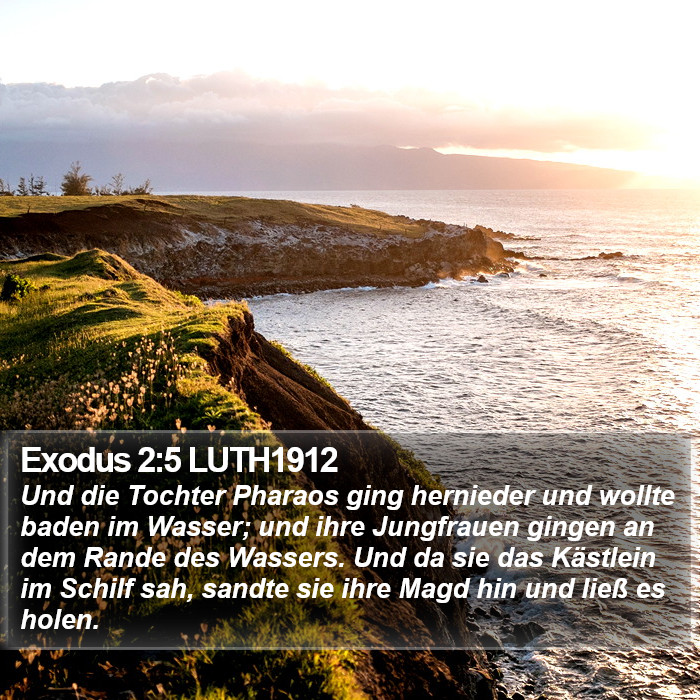 Exodus 2:5 LUTH1912 Bible Study