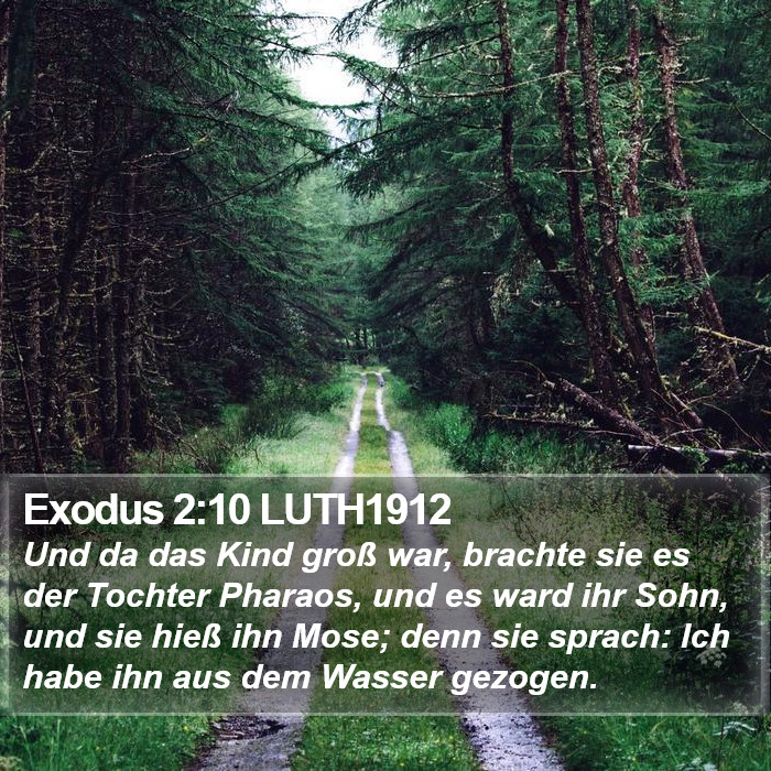 Exodus 2:10 LUTH1912 Bible Study