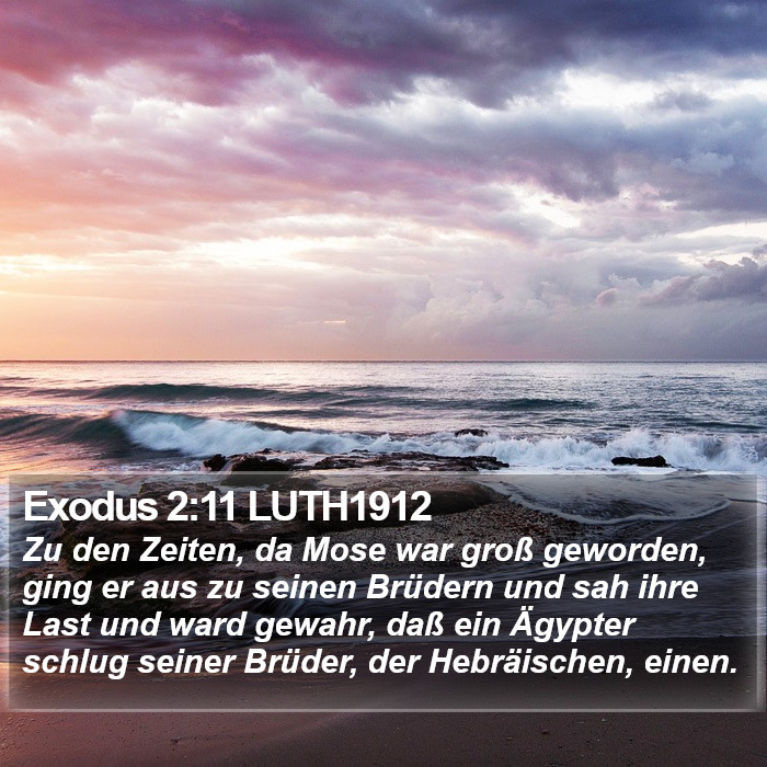 Exodus 2:11 LUTH1912 Bible Study