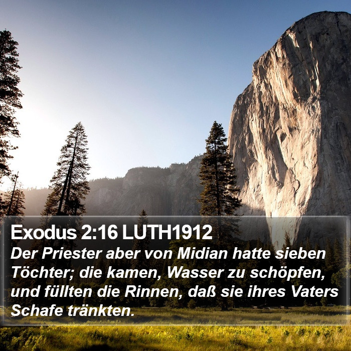 Exodus 2:16 LUTH1912 Bible Study