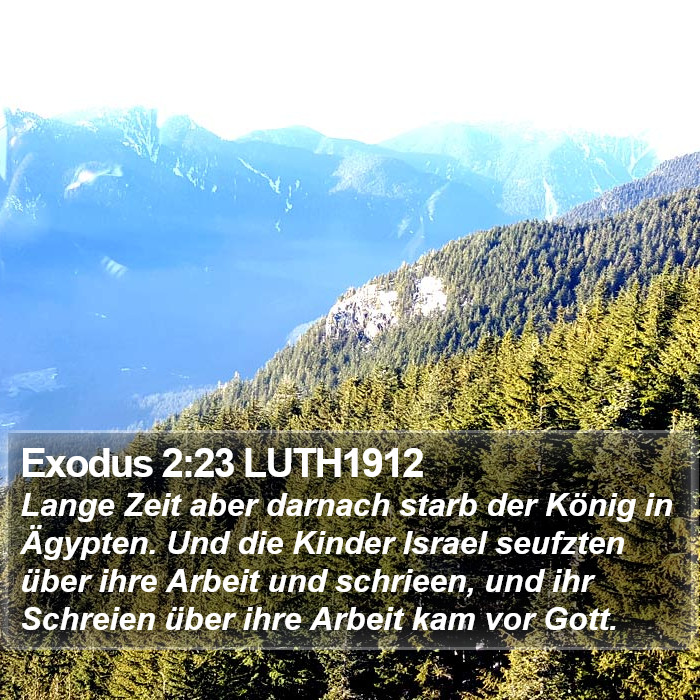 Exodus 2:23 LUTH1912 Bible Study
