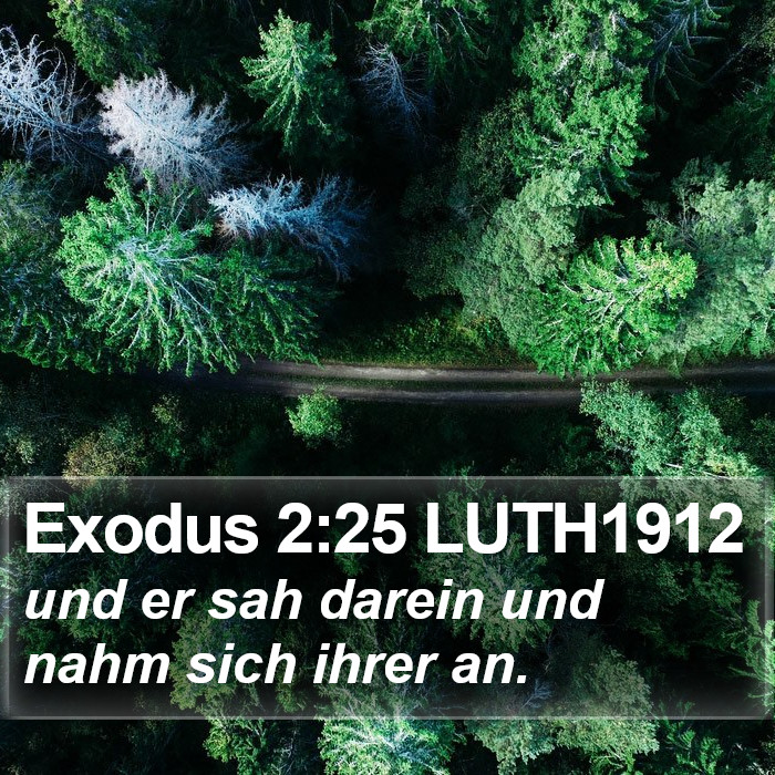 Exodus 2:25 LUTH1912 Bible Study