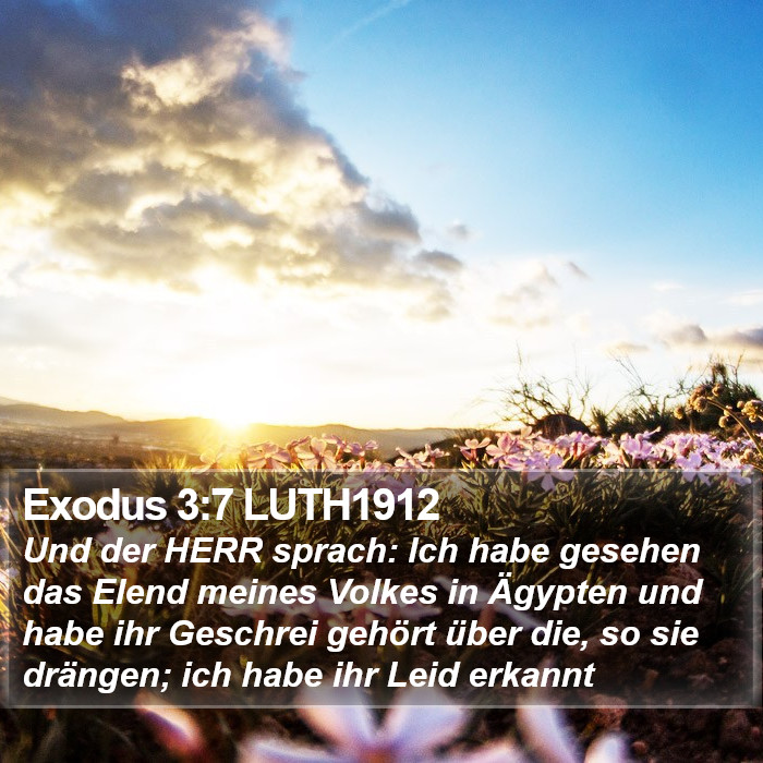 Exodus 3:7 LUTH1912 Bible Study