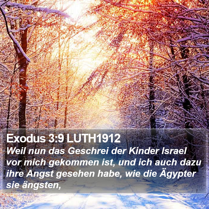 Exodus 3:9 LUTH1912 Bible Study