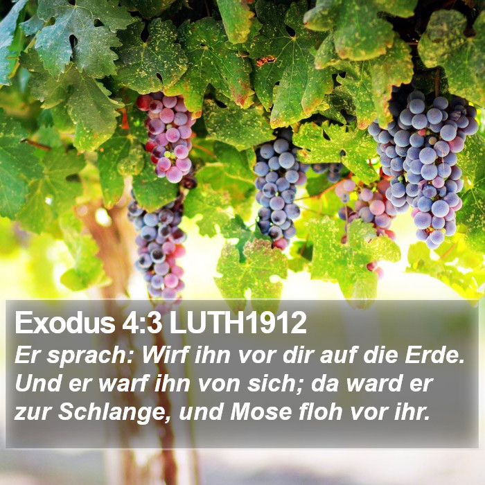 Exodus 4:3 LUTH1912 Bible Study