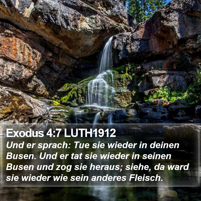 Exodus 4:7 LUTH1912 Bible Study