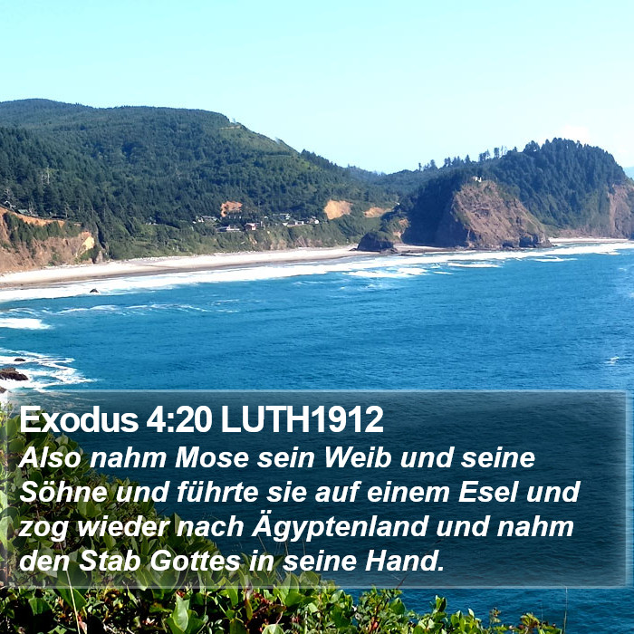 Exodus 4:20 LUTH1912 Bible Study