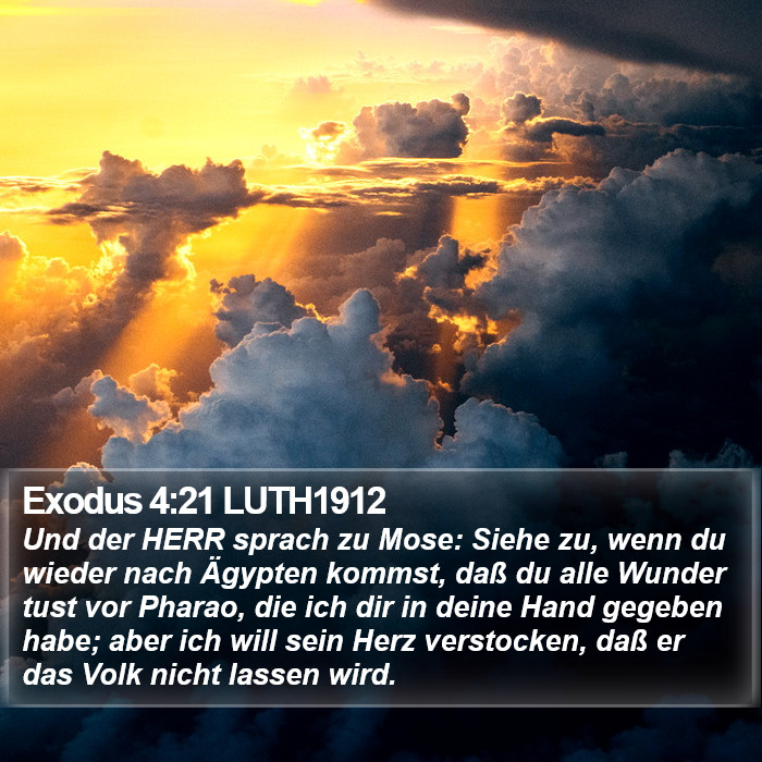 Exodus 4:21 LUTH1912 Bible Study