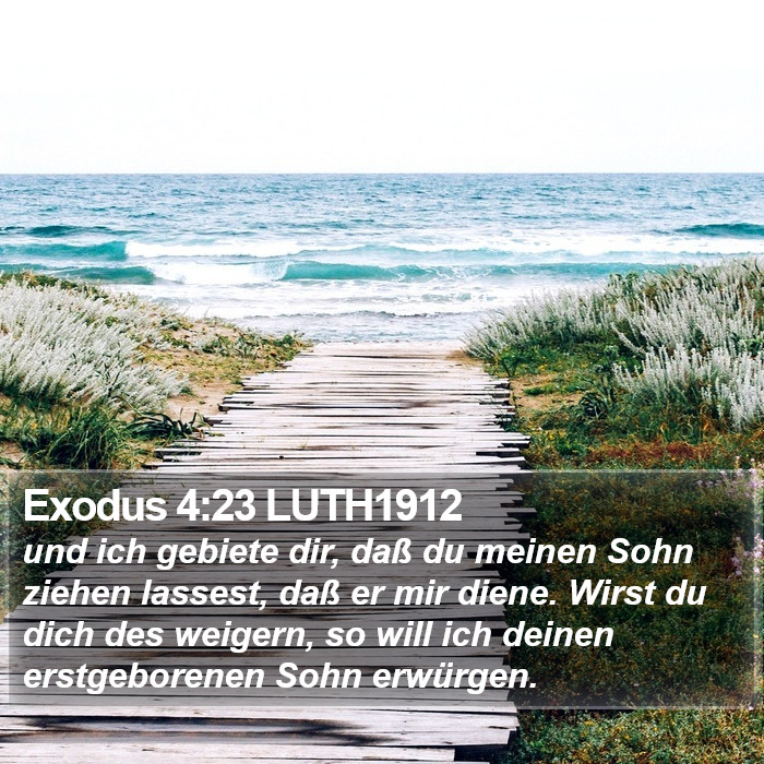 Exodus 4:23 LUTH1912 Bible Study