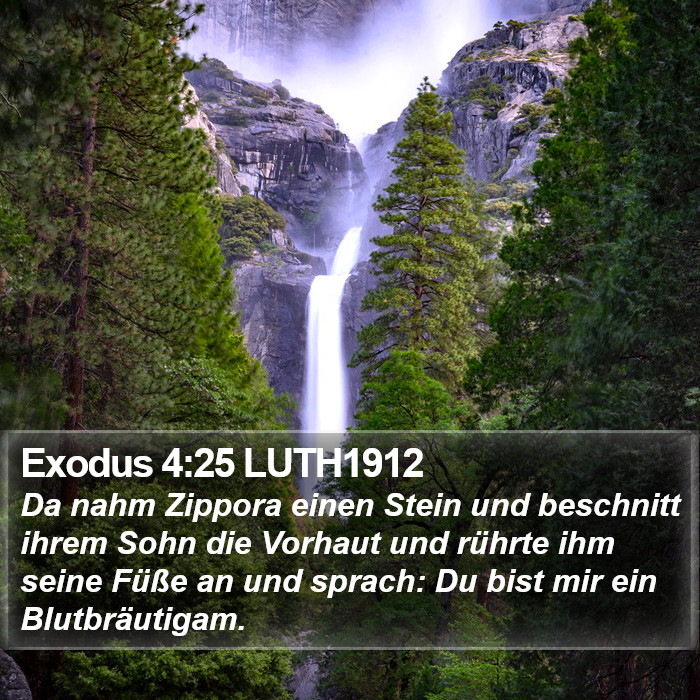 Exodus 4:25 LUTH1912 Bible Study