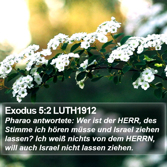 Exodus 5:2 LUTH1912 Bible Study