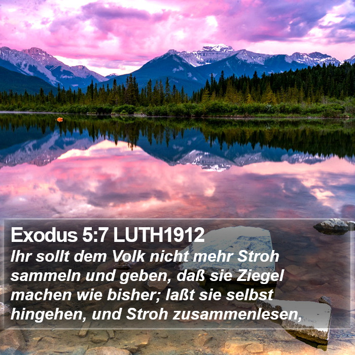 Exodus 5:7 LUTH1912 Bible Study