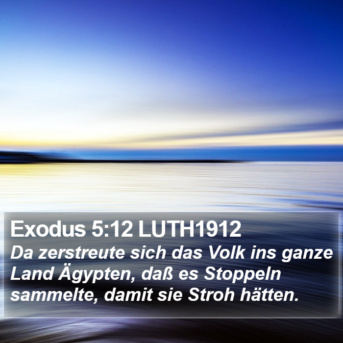 Exodus 5:12 LUTH1912 Bible Study