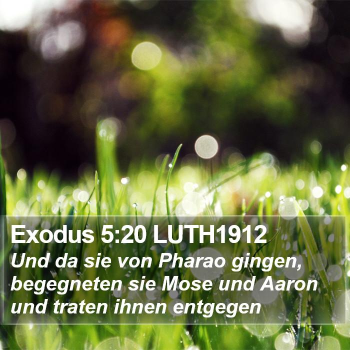 Exodus 5:20 LUTH1912 Bible Study