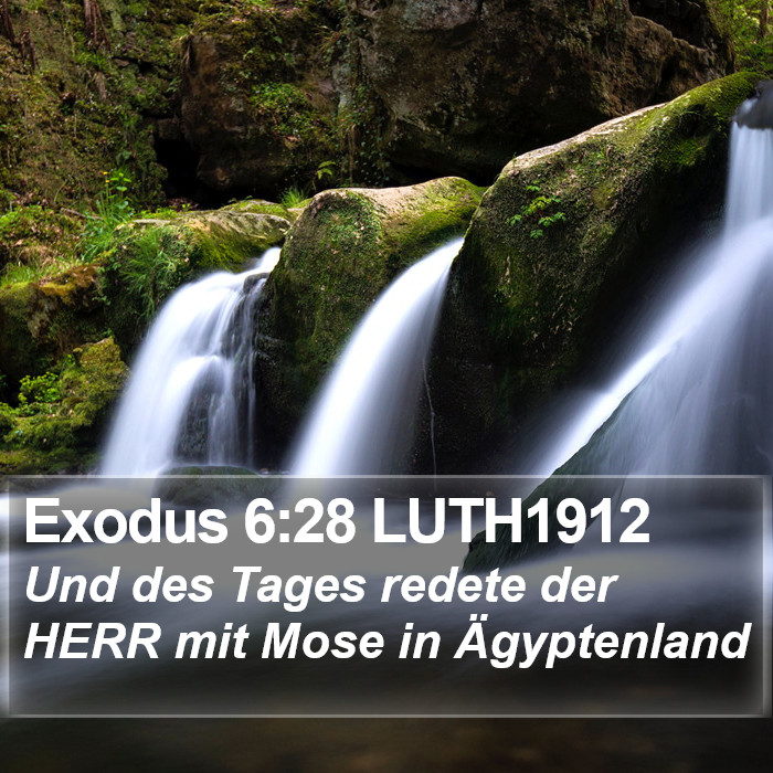 Exodus 6:28 LUTH1912 Bible Study