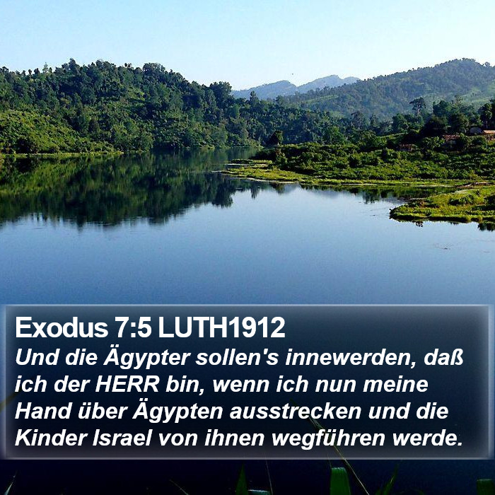 Exodus 7:5 LUTH1912 Bible Study