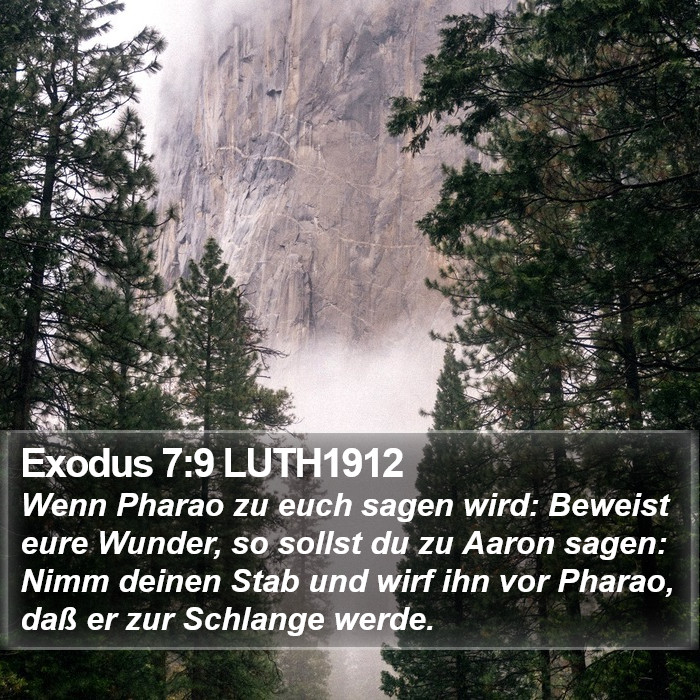 Exodus 7:9 LUTH1912 Bible Study