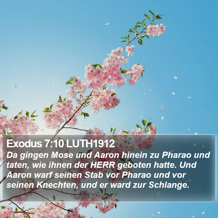 Exodus 7:10 LUTH1912 Bible Study
