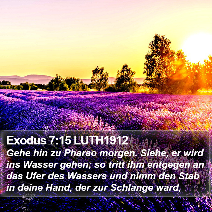 Exodus 7:15 LUTH1912 Bible Study