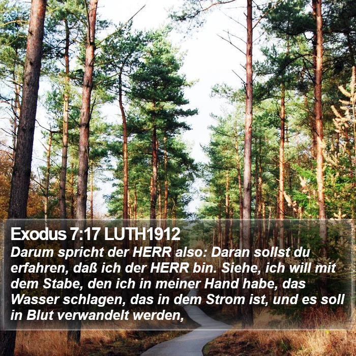 Exodus 7:17 LUTH1912 Bible Study