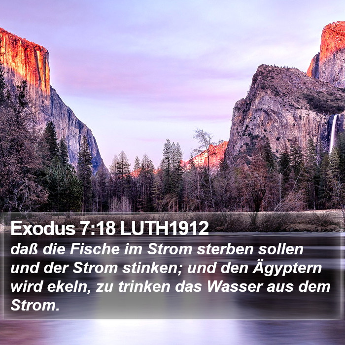 Exodus 7:18 LUTH1912 Bible Study