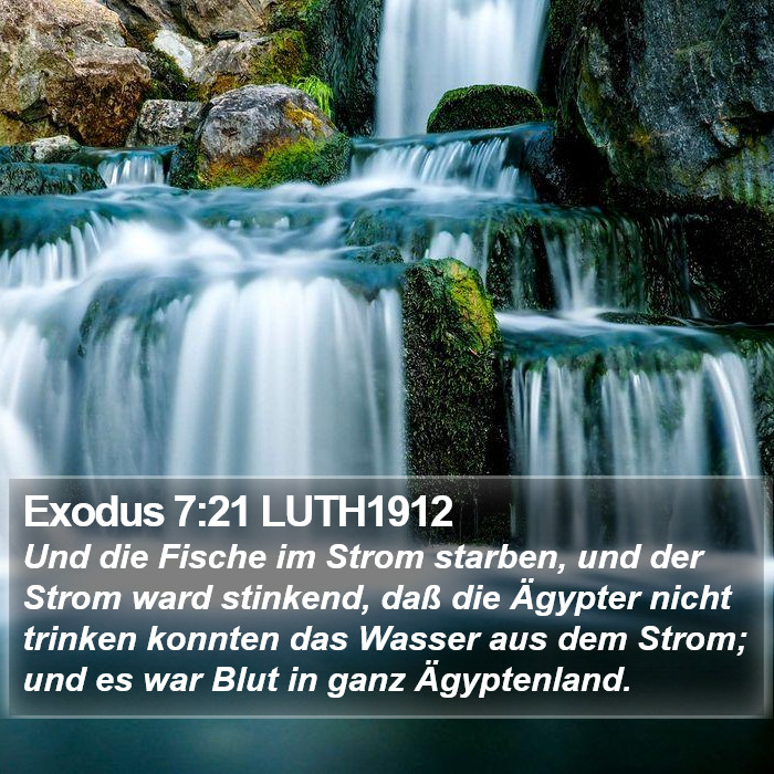 Exodus 7:21 LUTH1912 Bible Study