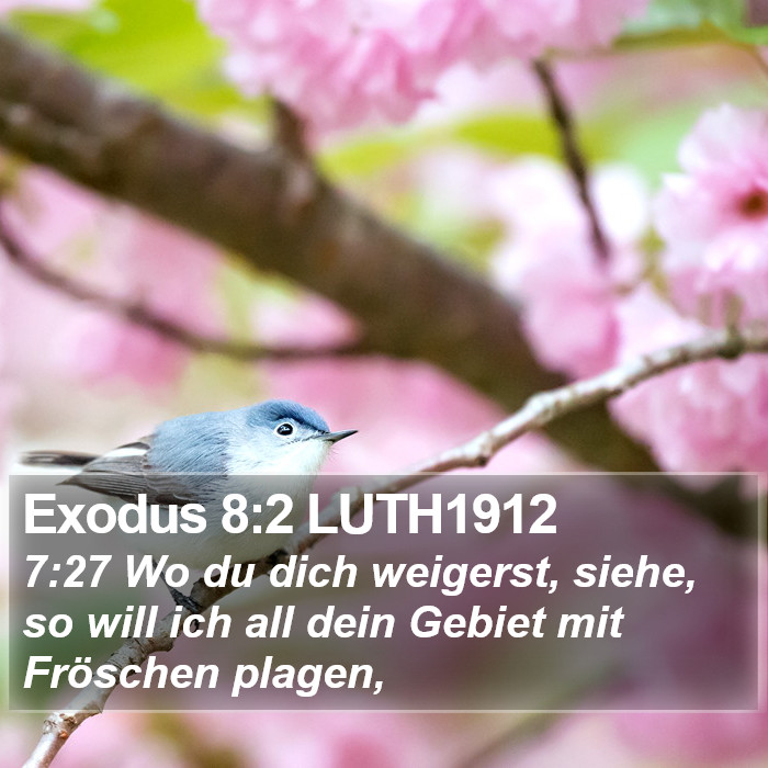 Exodus 8:2 LUTH1912 Bible Study