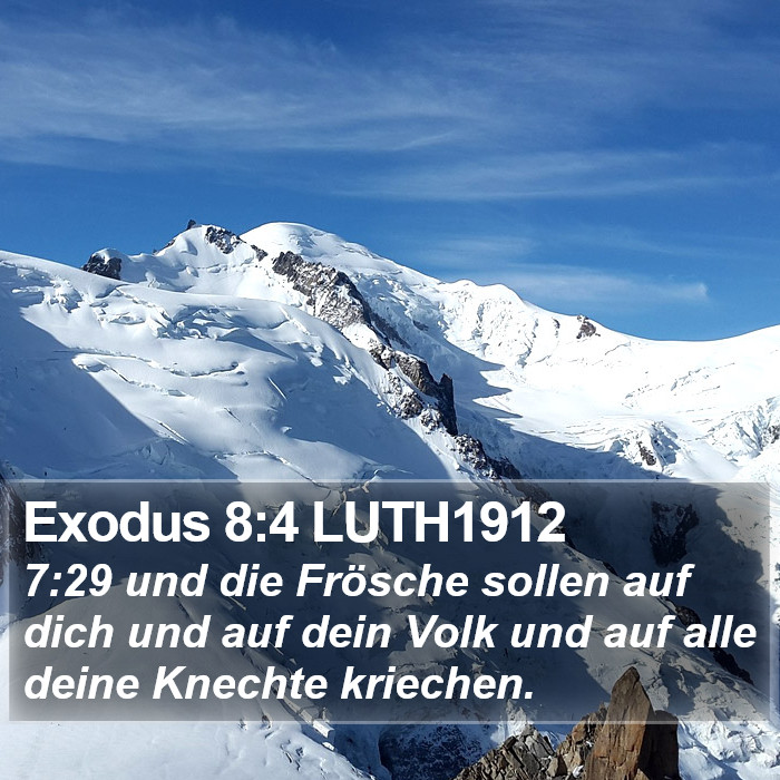 Exodus 8:4 LUTH1912 Bible Study