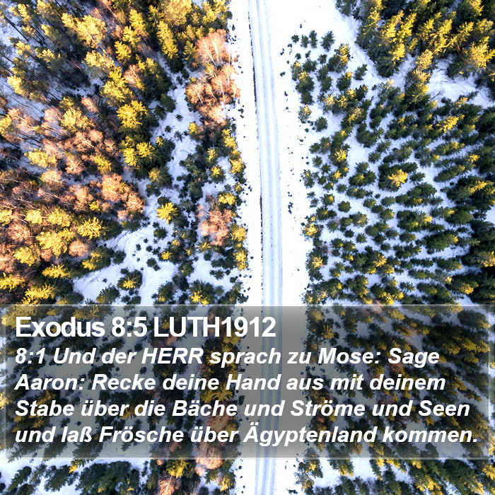 Exodus 8:5 LUTH1912 Bible Study