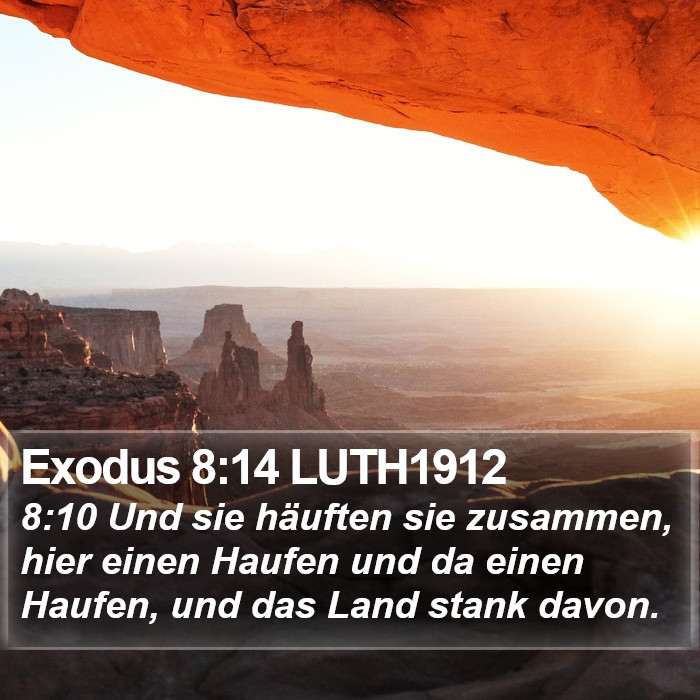 Exodus 8:14 LUTH1912 Bible Study