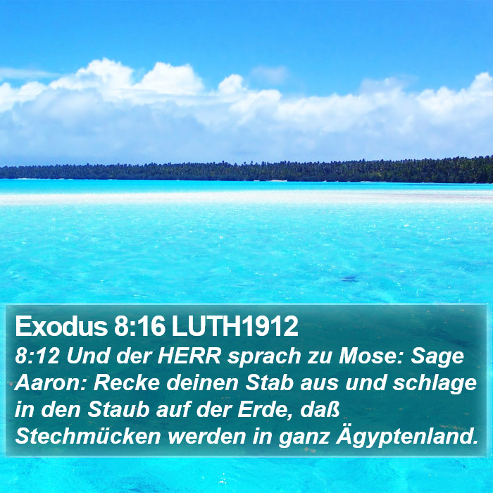 Exodus 8:16 LUTH1912 Bible Study