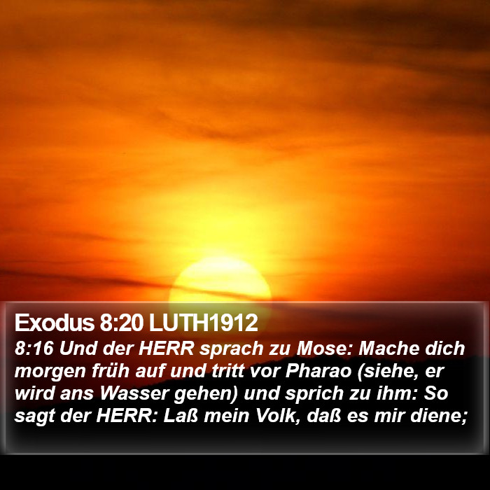 Exodus 8:20 LUTH1912 Bible Study