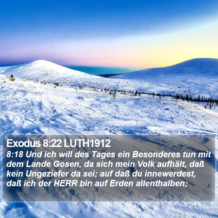 Exodus 8:22 LUTH1912 Bible Study