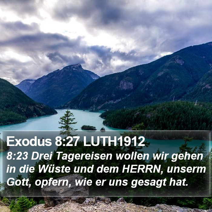 Exodus 8:27 LUTH1912 Bible Study